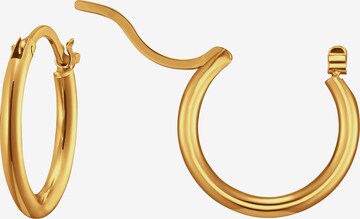Heideman Earring in Gold: front