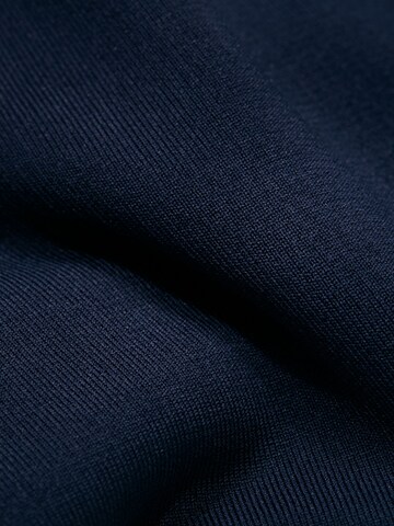 MAMMUT Funktionsfleecejacke 'Aconcagua Light' in Blau