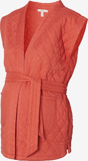 Esprit Maternity Gilet en corail, Vue avec produit