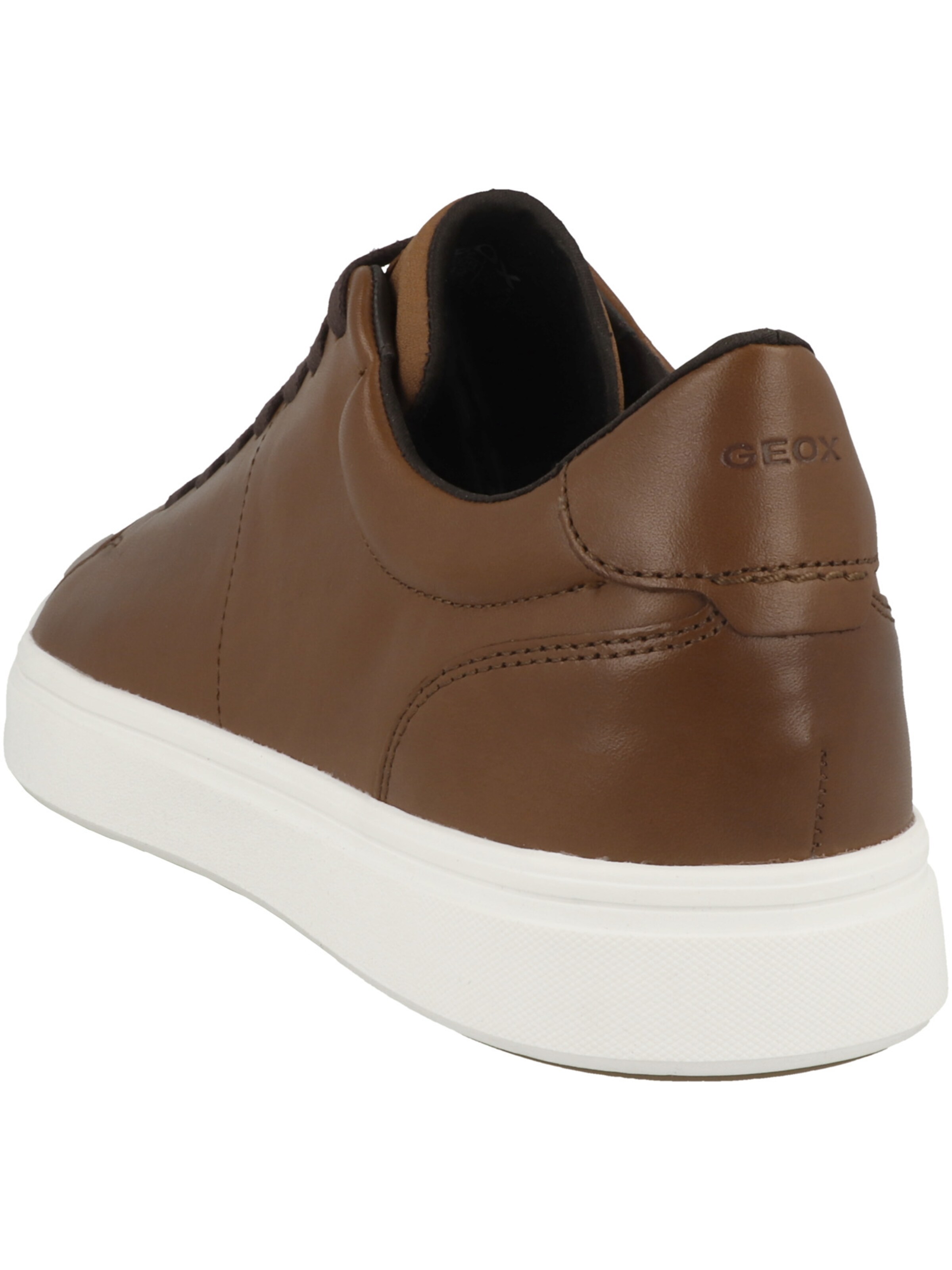 GEOX Sneaker 'Baltmoore' in Braun