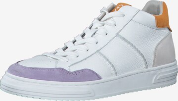 Sneaker alta di TAMARIS in bianco: frontale