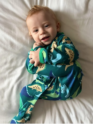 Toby Tiger Romper/Bodysuit in Green