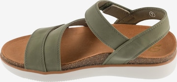 Sandales 'Skechers Lifted Comfort' SKECHERS en vert : devant