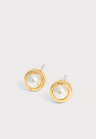 Boucles d'oreilles 'SINEE' Ted Baker en or : devant
