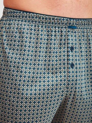 CALIDA Boxershorts 'Cotton Choice' in Grün