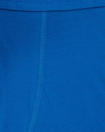 WE Fashion Underpants in Blue