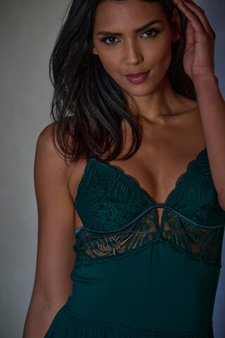 LASCANA Negligee in Green