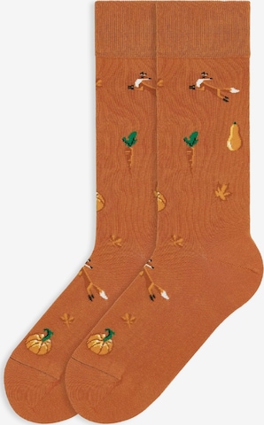 Von Jungfeld Socken 'Herbst Icons' in Orange: Vorderseite