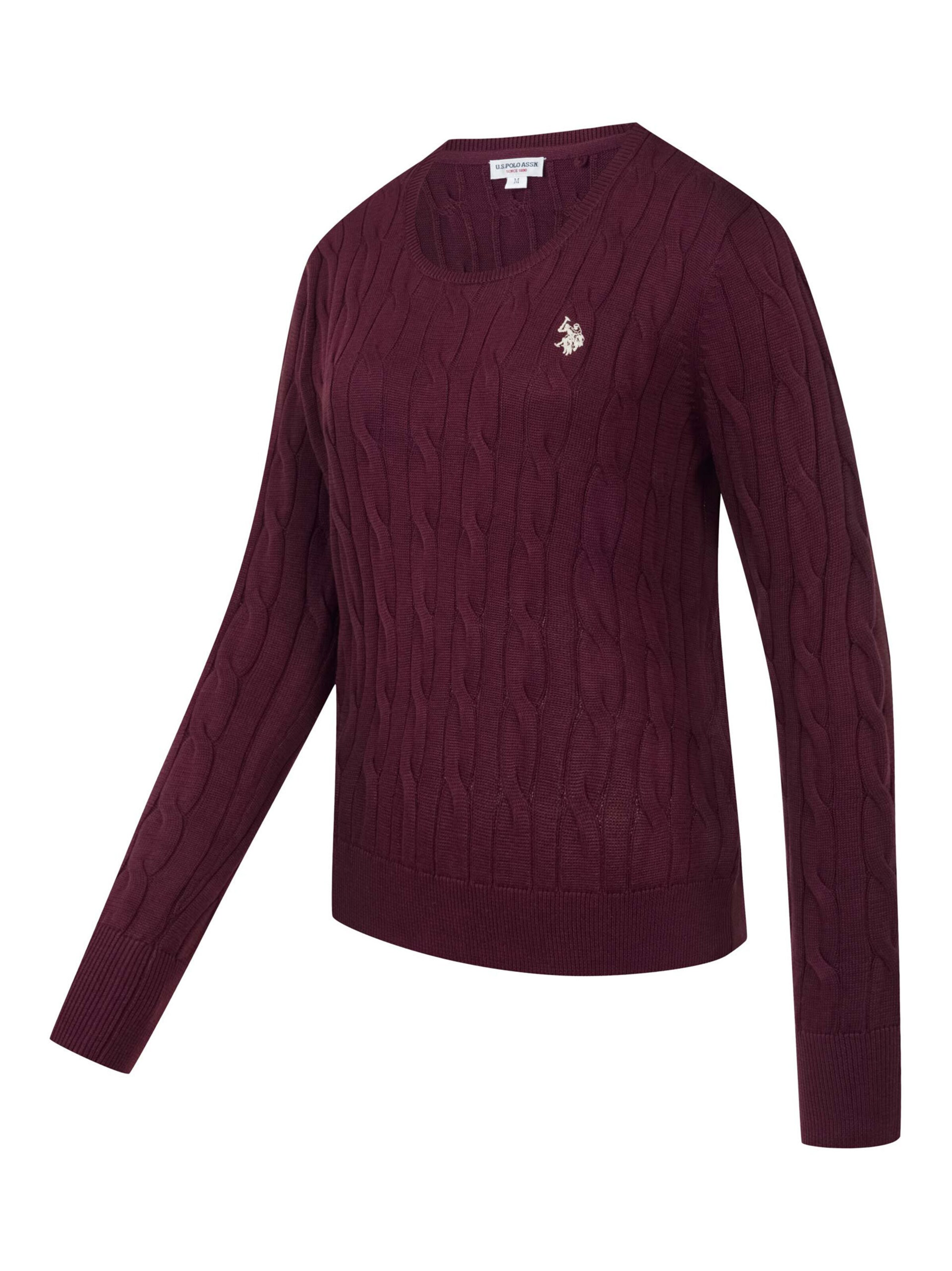 U.S. POLO ASSN. Sweater in Purple