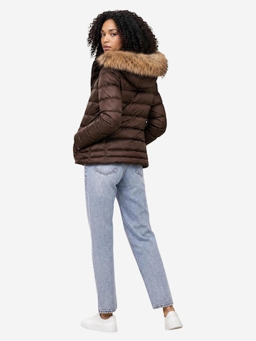 Veste d’hiver 'ARCADIA 26WBLDC03038' Blauer. en marron