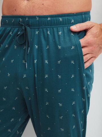 CALIDA Pajama Pants 'RMX Sleep Free' in Green