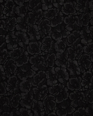 WE Fashion Blus i svart