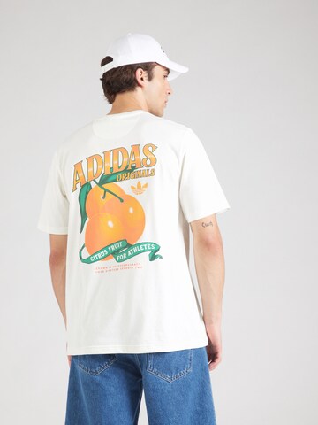 ADIDAS ORIGINALS Bluser & t-shirts 'ORANGE' i hvid: forside