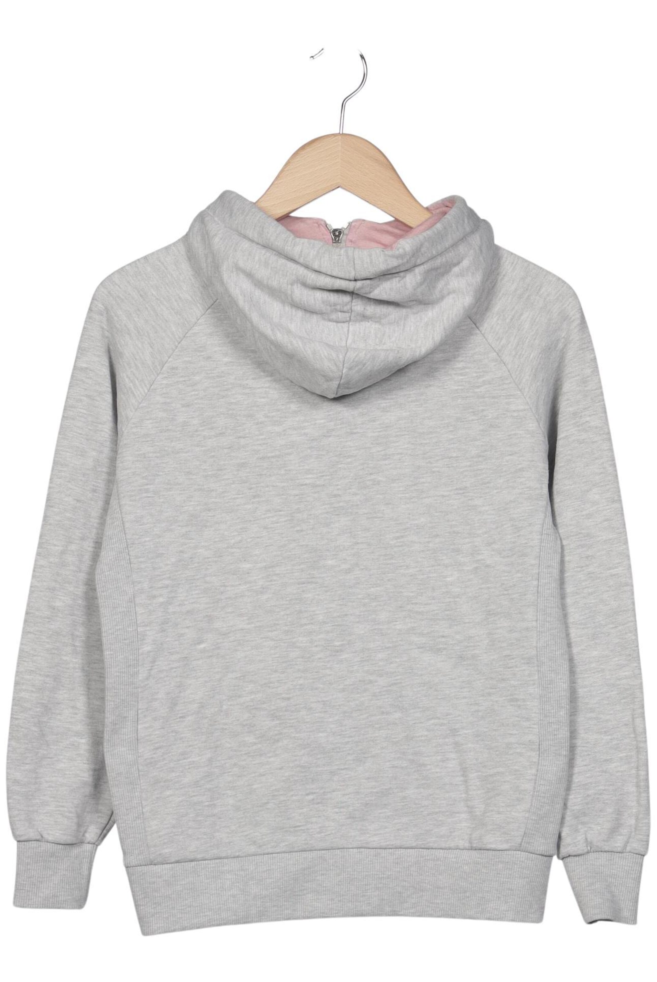 Deichgraf Kapuzenpullover M in Grau