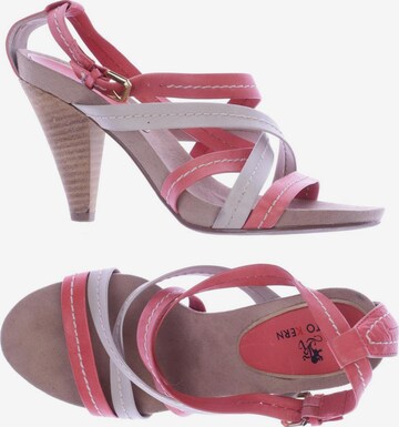 OTTO KERN Sandals & High-Heeled Sandals in 36 in Pink: front