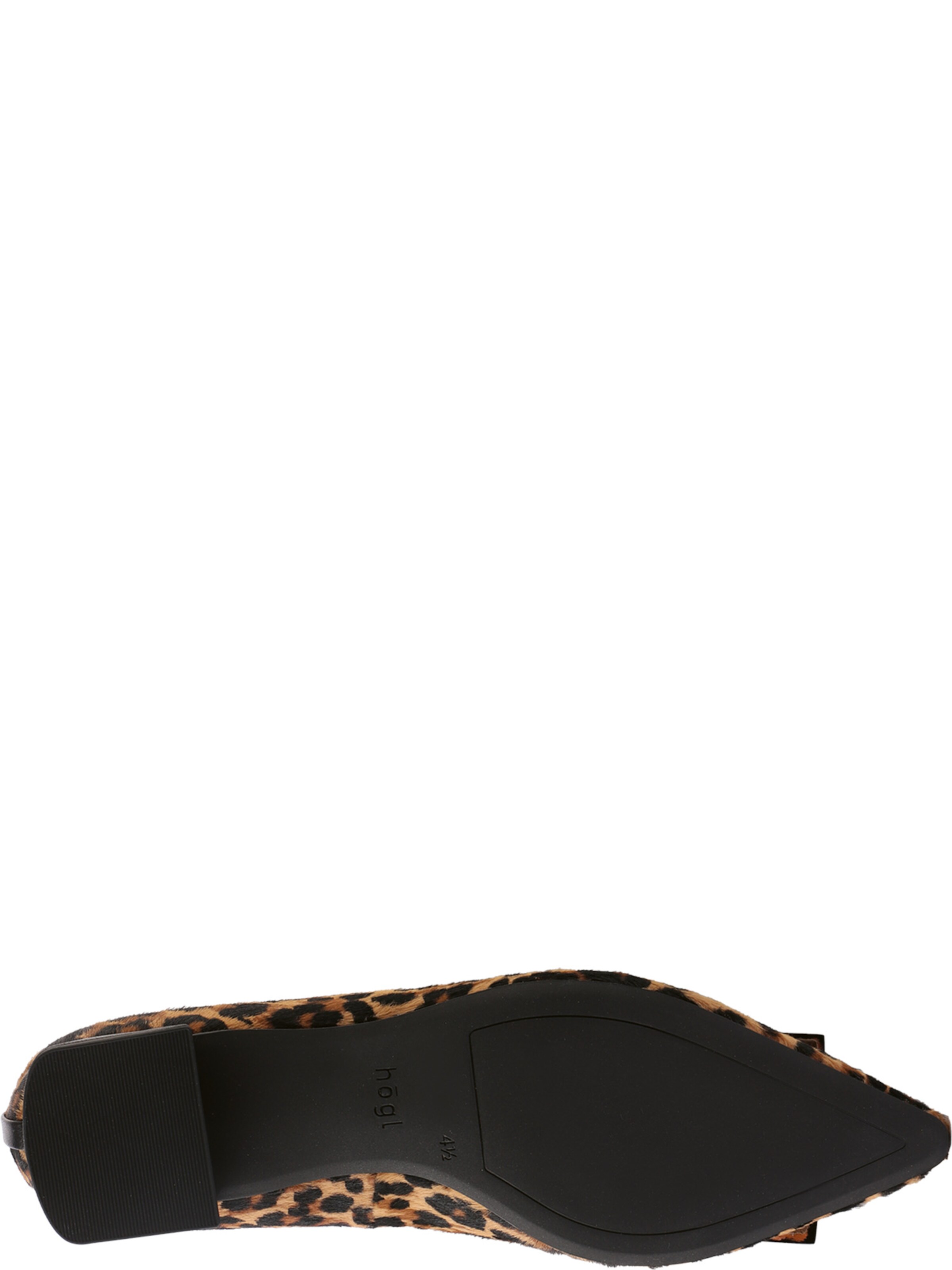 Högl Pumps 'Leo' in Bruin