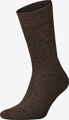 Hudson Socken 'Relax Cotton' in Braun: Vorderseite