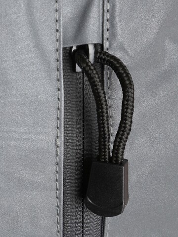 Proviz Backpack 'REFLECT360' in Silver