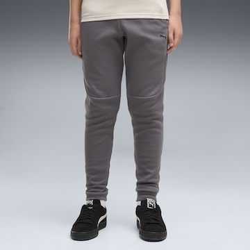 Regular Pantalon de sport PUMA en gris