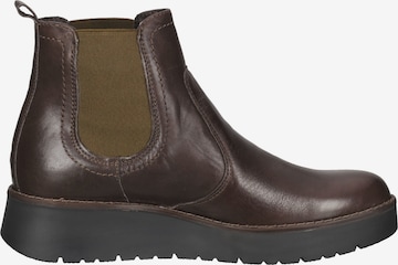 IGI&CO Chelsea boots in Bruin