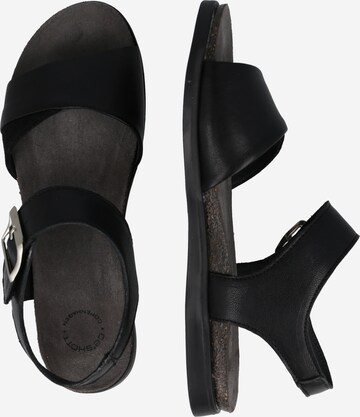 Ca'Shott Sandals in Black