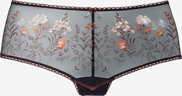 LASCANA Panty in Black: front