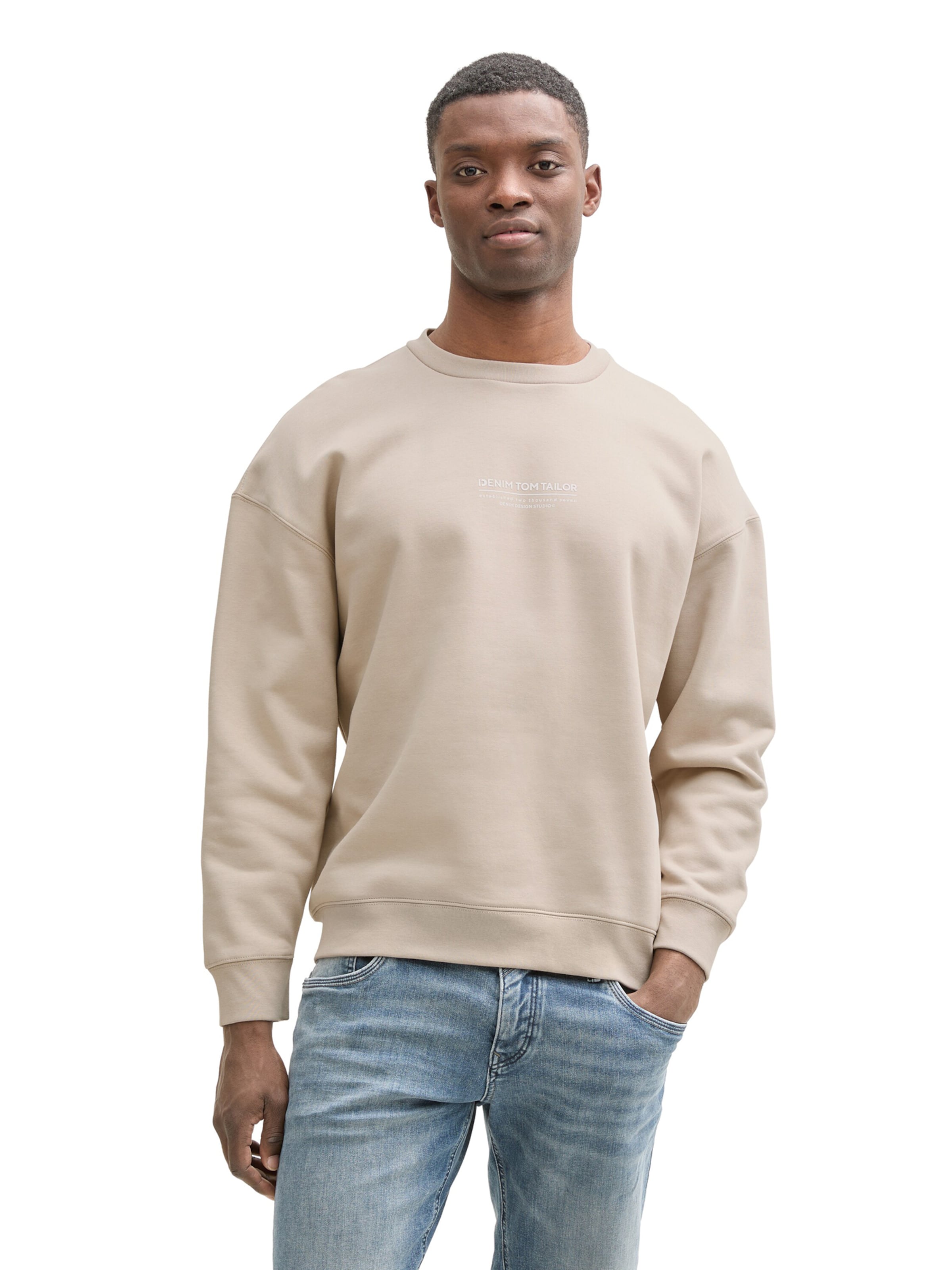 TOM TAILOR DENIM Sweatshirt in Grey: front