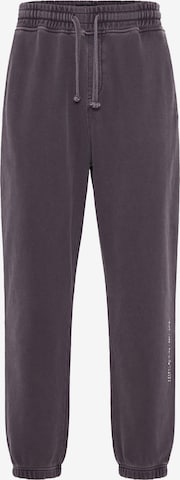 Funky Buddha Tapered Housut värissä lila: etupuoli