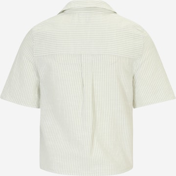 Vero Moda Petite Bluse 'JILY' in Grün