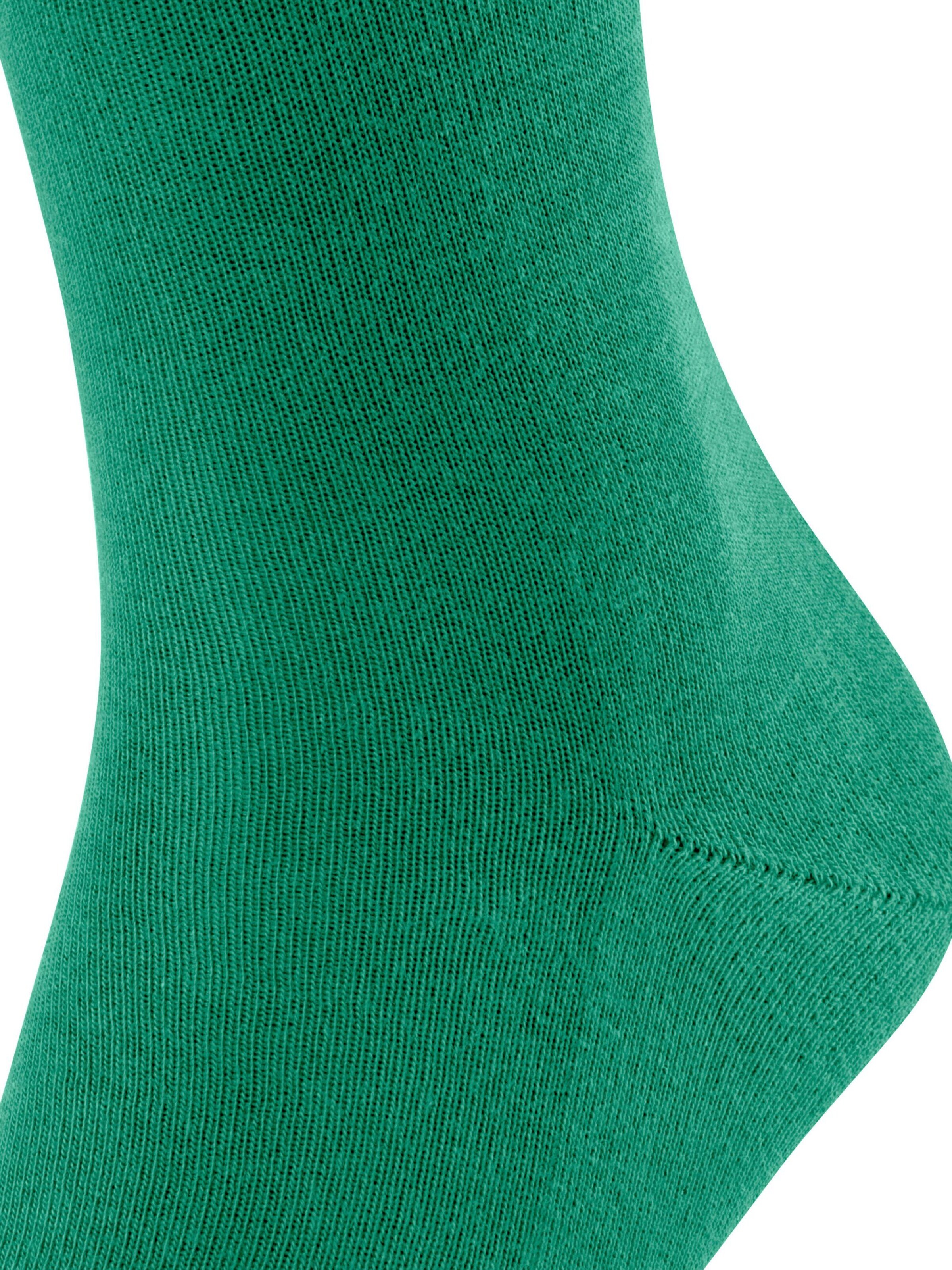 FALKE Socks 'Family' in Green: front