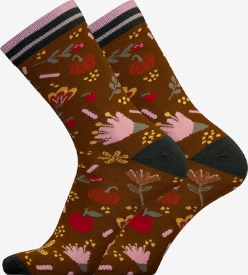 UphillSport Socken 'AUTUMN GARDEN' in Braun: predná strana