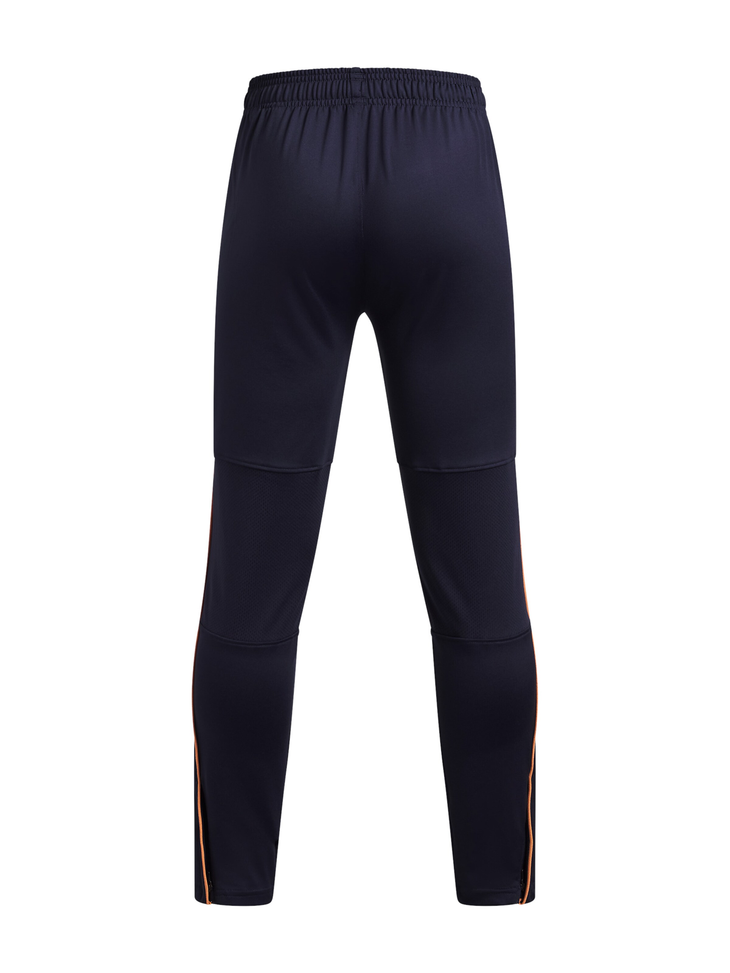 UNDER ARMOUR Regular Sportbroek 'Challenger' in Blauw