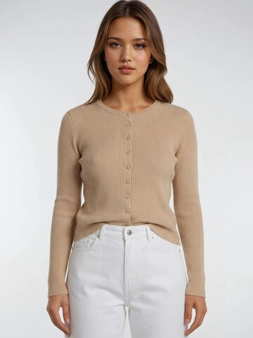 MixRay Knit Cardigan in Brown: front