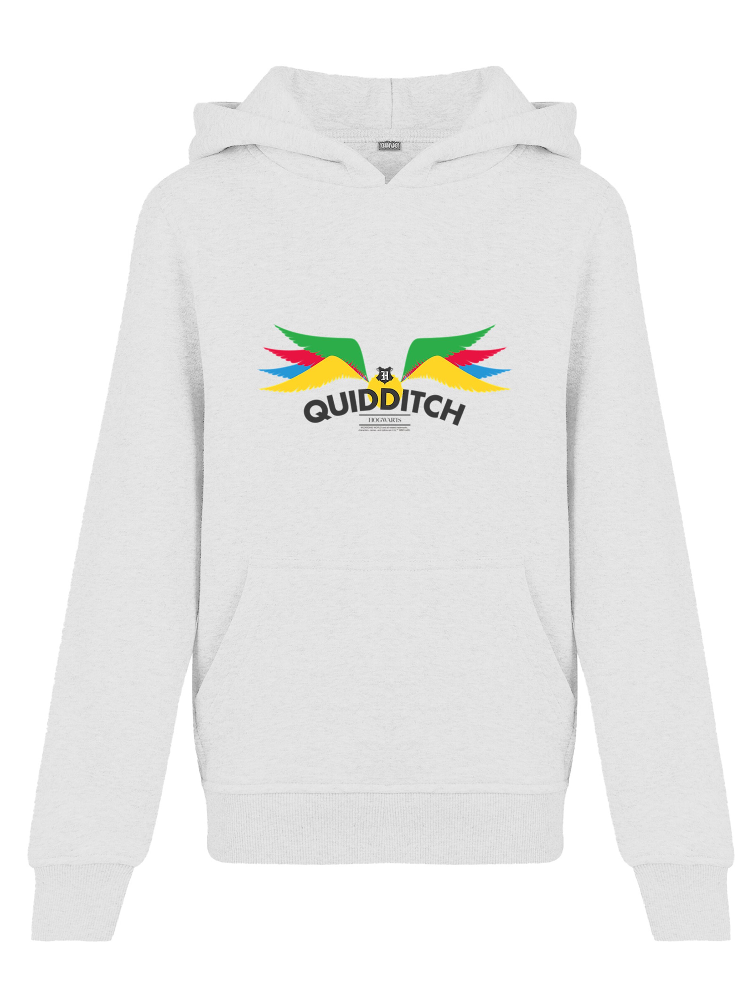 F4NT4STIC Sweatshirt 'Harry Potter Quidditch Golden Snitch' in Wit: voorkant