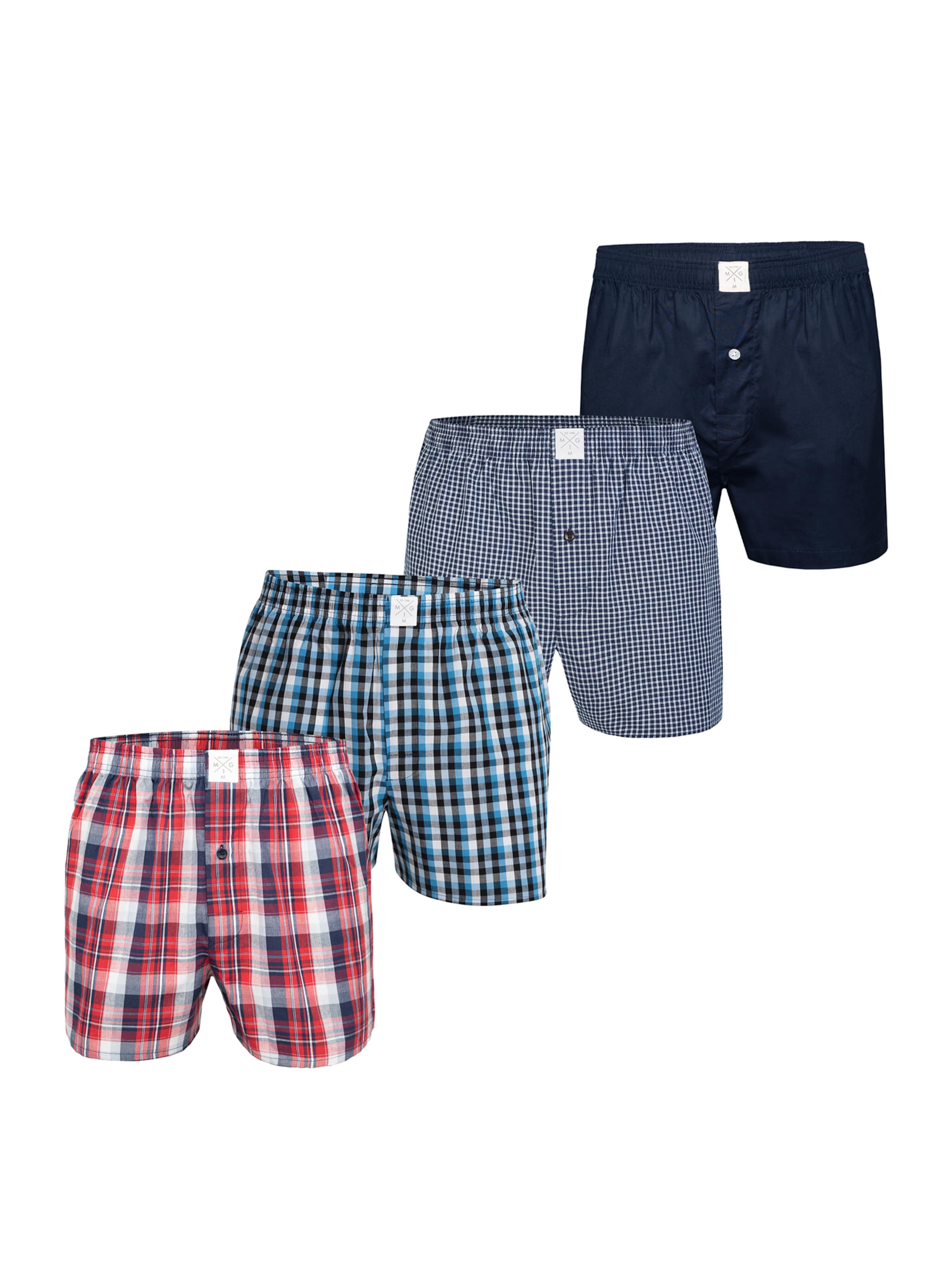 MG-1 Boxer ' Core ' in Mischfarben: Vorderseite