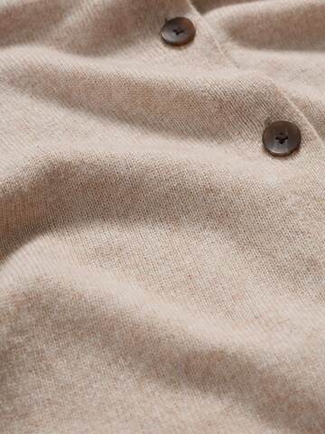 Seasalt Cornwall Cardigan 'Tern Tide' i beige