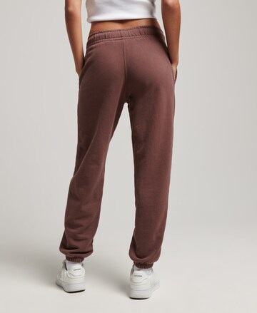 Superdry Tapered Hose in Braun