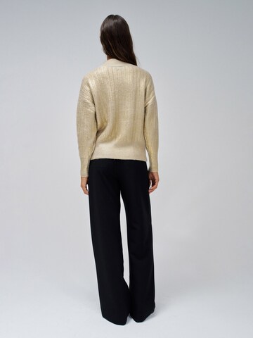 Pull-over Salsa Jeans en or