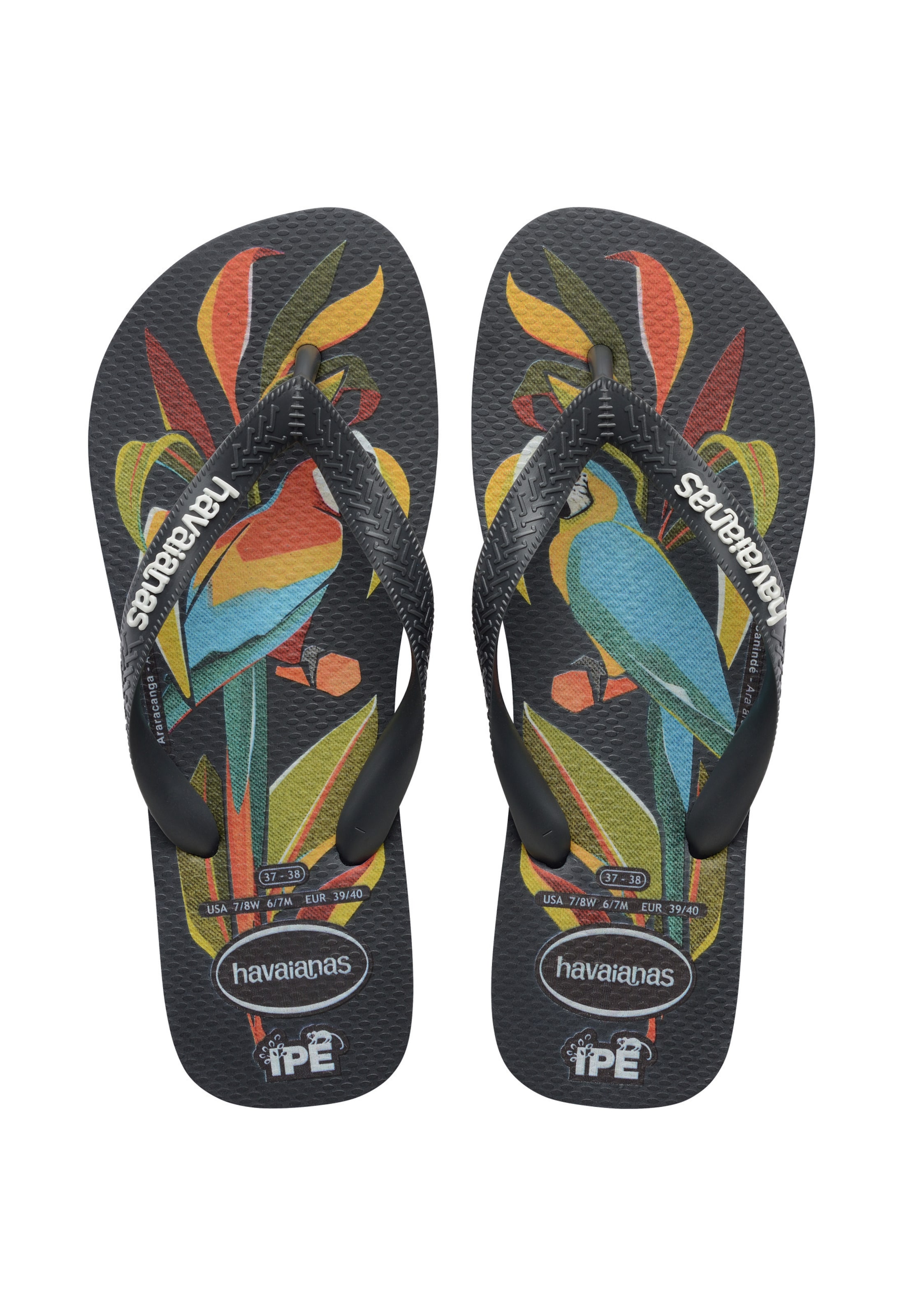 HAVAIANAS T-bar sandals 'Ipe' in Black