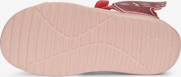 PUMA Sandaalit 'Divecat V2' värissä vaaleanpunainen