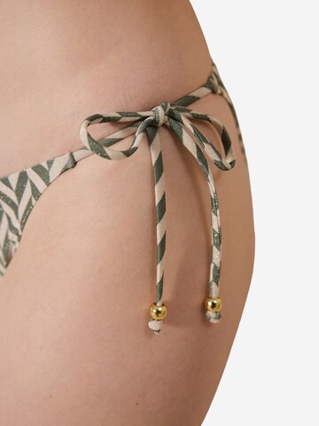 Penti Bikini nadrágok - vegyes színek