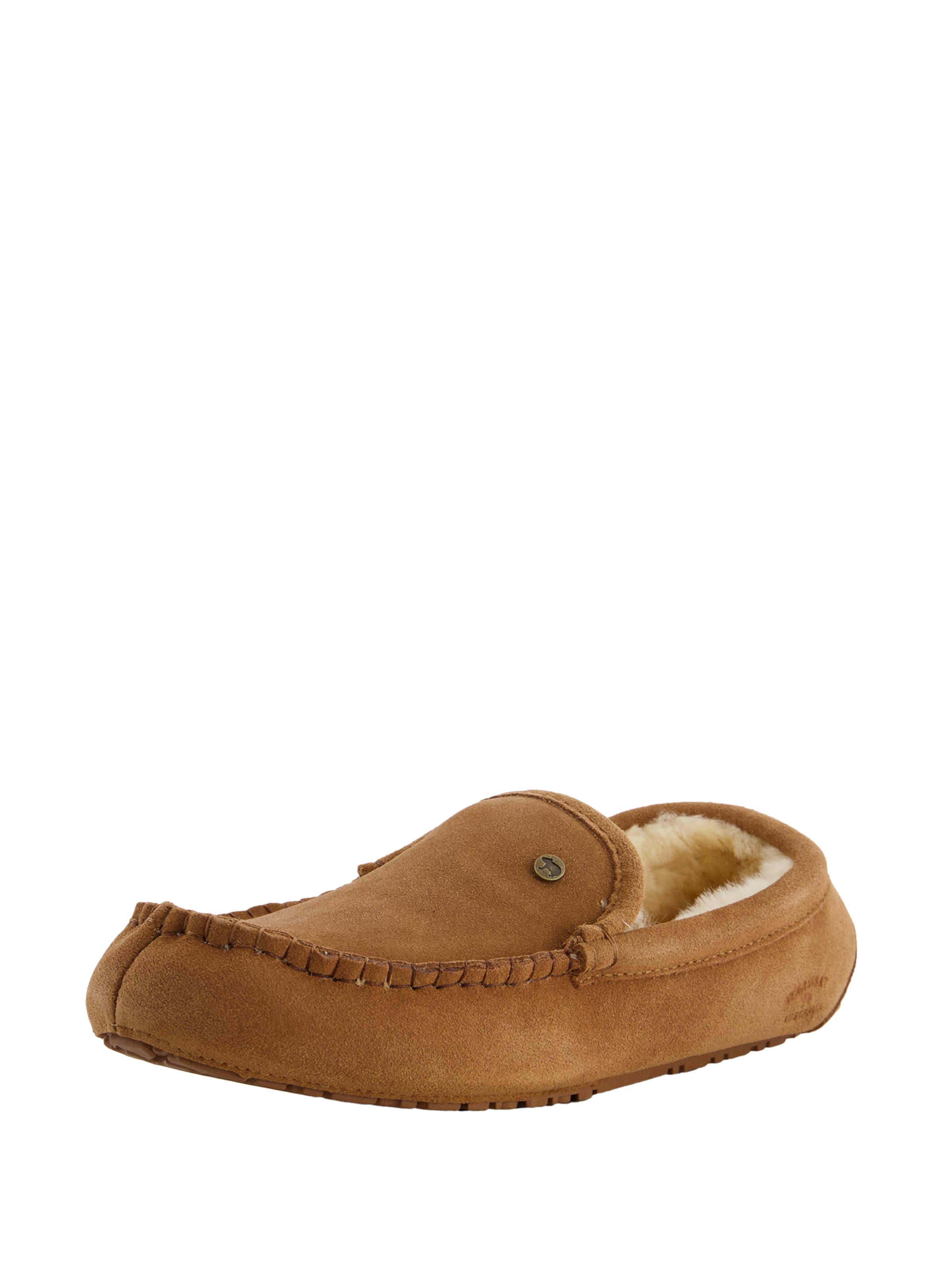 Warmbat Toasuss 'Earlwood', värv pruun: eest vaates