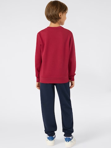 Champion Authentic Athletic Apparel Joggingdragt i blå