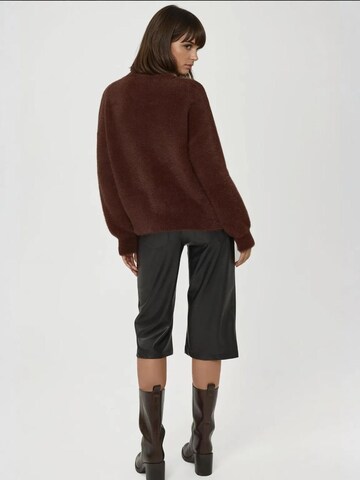 Pull-over 'Pullover' Hiccup en marron