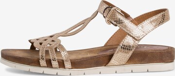 TAMARIS Strap Sandals in Gold