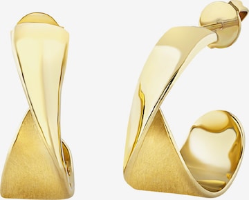 Breil Earrings in Gold: front