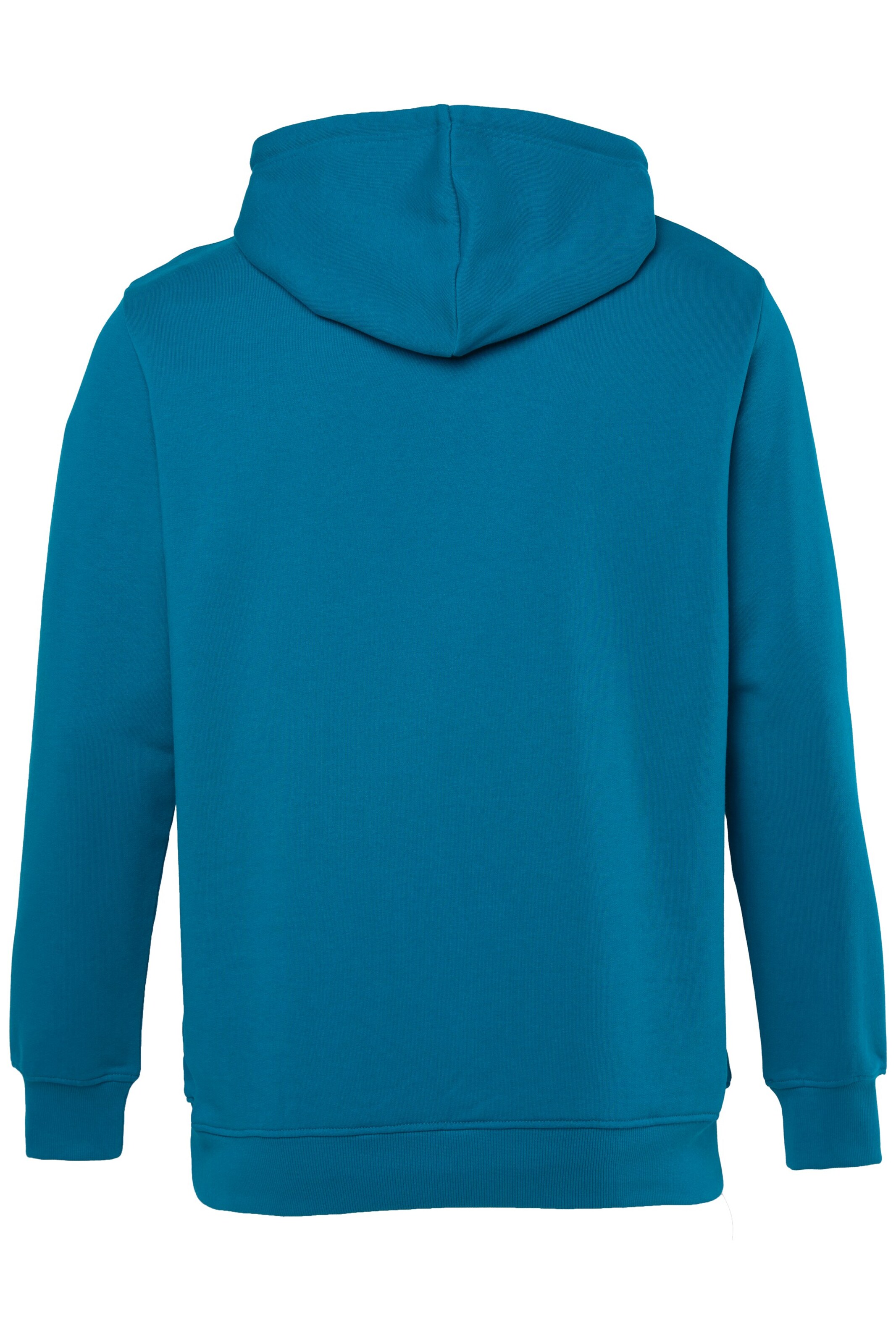 Men Plus Sweatshirt in Blau