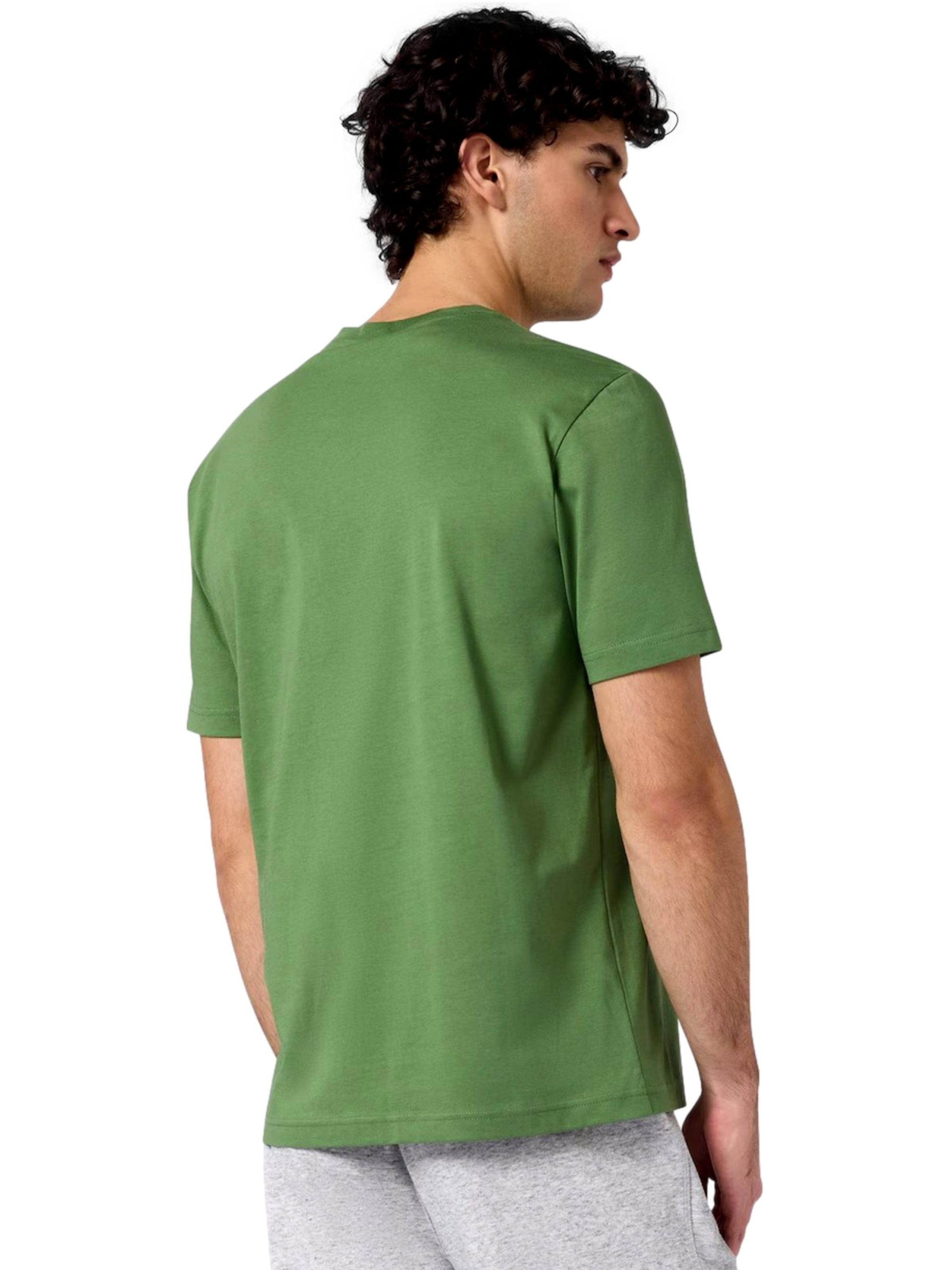 Champion Authentic Athletic Apparel Bluser & t-shirts i grøn