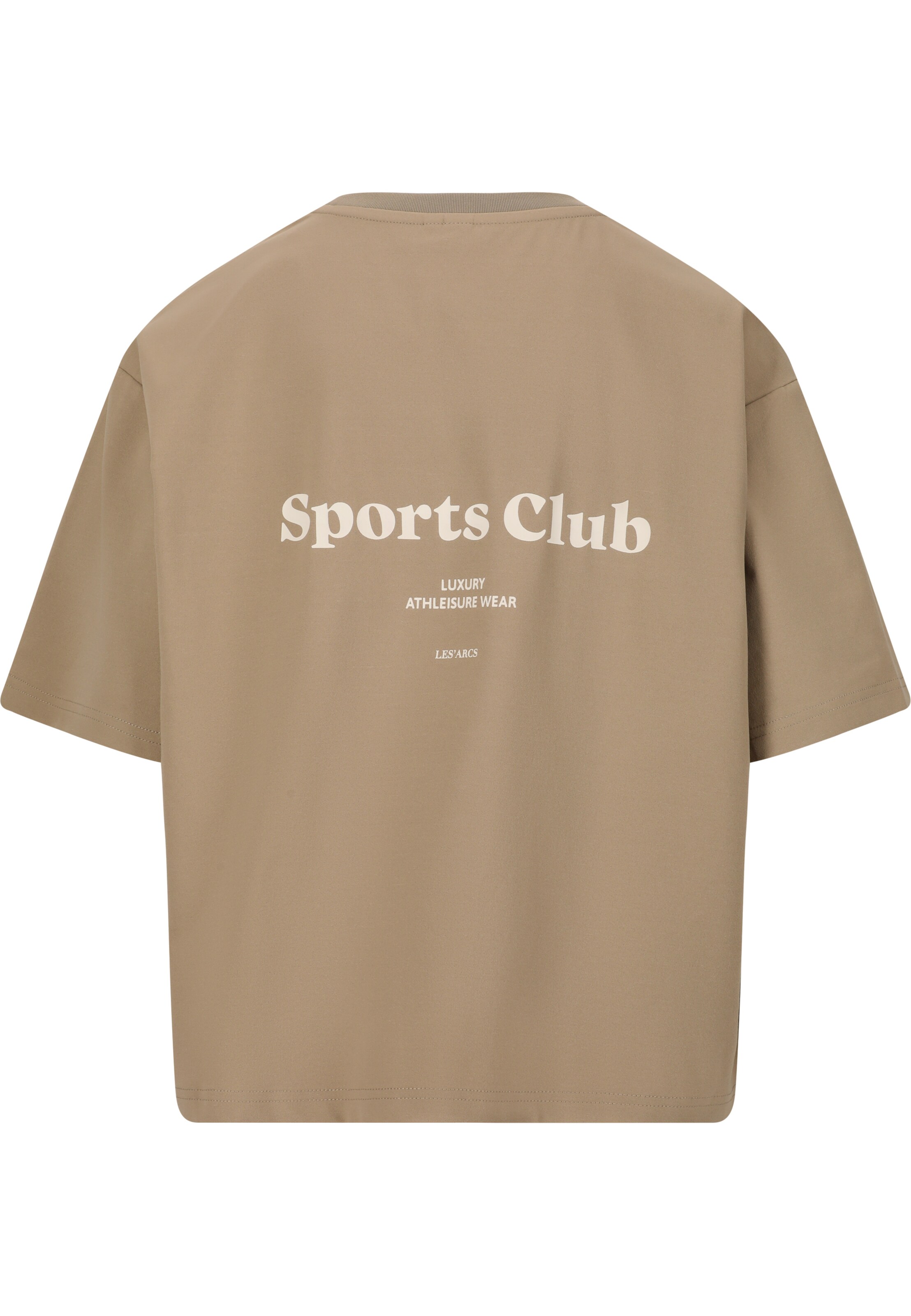 Les'Arcs T-Shirt 'Jerety' in Braun