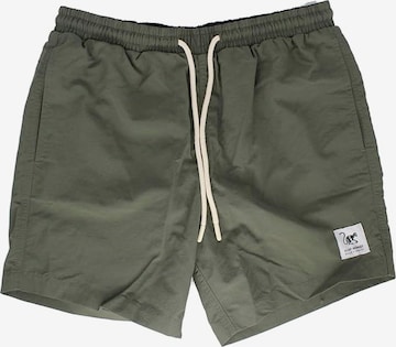 Surf Monkey - Bermudas en verde: frente